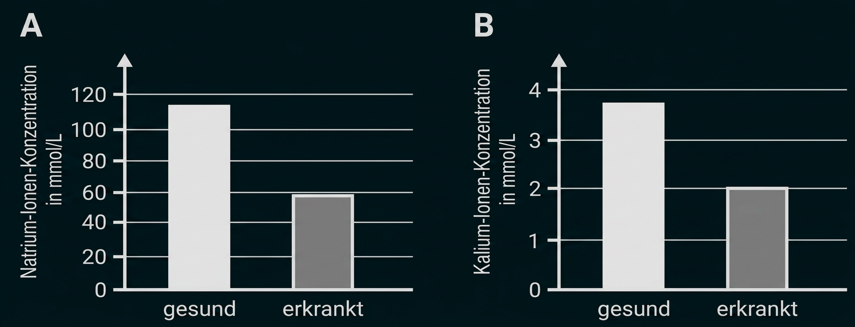 Balkendiagramme zeigen Natrium- und Kalium-Ionen-Konzentrationen bei gesunden und erkrankten Personen.